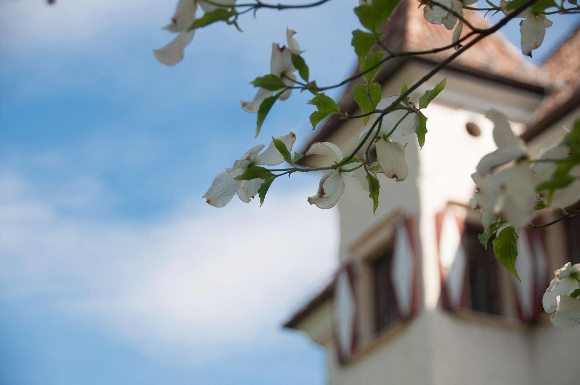 Hotel Castel Rundegg Merano Esterno foto